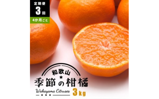 【定期便/4か月ごと/全3回】厳選・和歌山の季節の柑橘3kg農家直送フルーツ定期便 | 有田 みかん 蜜柑 オレンジ 八朔 せとか ポンカン  セミノール バレンシア いよかん 不知火※北海道・沖縄・離島への配送不可