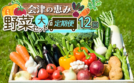 会津発　季節の野菜だより（大）定期便12回　【07208-0265】