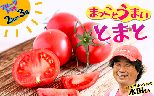 まっことうまい！水田さんのフルーツトマト【約２kg×3箱 / 化粧箱入】 468998 - 高知県いの町