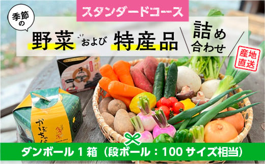 季節の野菜 詰め合わせ「スタンダードコース」 472834 - 熊本県美里町
