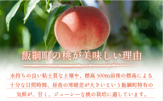 飯綱町の農産物に適した環境が、甘く、ジューシーな桃の栽培に適しています。