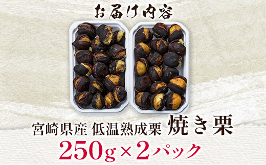 ＜先行予約＞宮崎県産 低温熟成栗［焼き栗］計500g（250g×2パック）【B617】