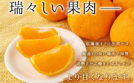 訳あり】岡村農園の不知火【５ｋｇ】 15～23玉 完熟 貯蔵 柑橘 果物 ...