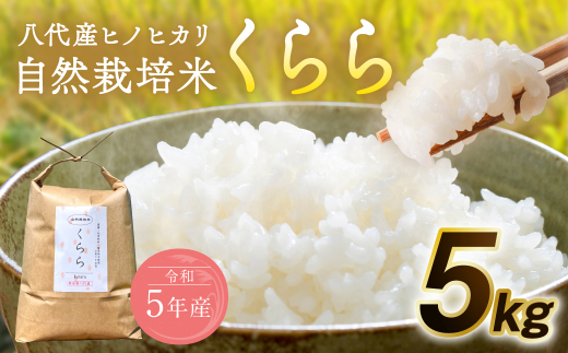 先行予約】 令和5年産米 自然栽培米 くらら 精米 5kg 米 【2023年10月