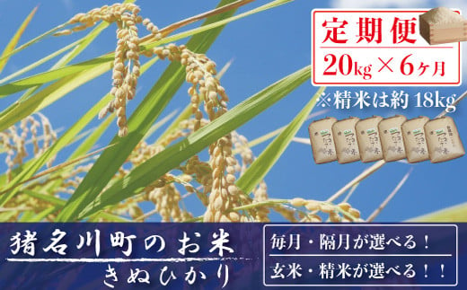 定期便20㎏×6回】猪名川町のお米（キヌヒカリ） ※玄米※毎月配送 - 兵庫