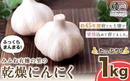 乾燥にんにく 1kg みふね有機の里《30日以内に出荷予定(土日祝除く)》熊本県 御船町 国産 御船町産 有機JAS認定 ガーリック 野菜 有機にんにく 熊本県御船町
