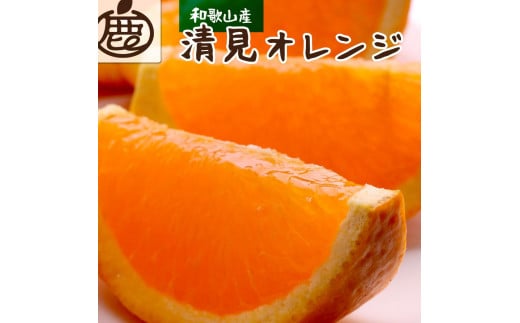 厳選清見オレンジ3.5kg+105g（傷み補償分）＜2月より発送＞ 485891 - 和歌山県九度山町