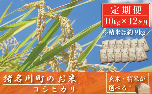 【定期便10kg×12回】猪名川町のお米（コシヒカリ）／こめ コメ こしひかり 