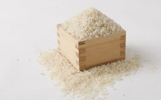 【3回定期便】 津留いちご園のお米 7分づき 農薬・化学肥料不使用(栽培期間中) 約5kg×3回