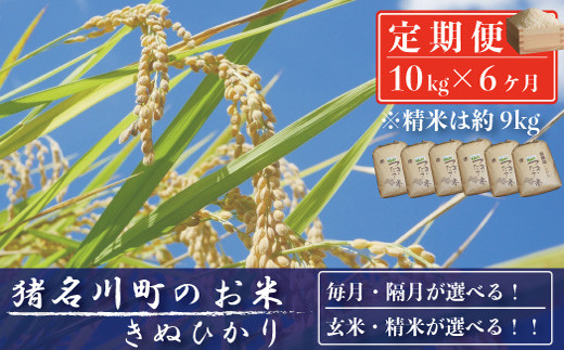 [定期便10kg×6回]猪名川町のお米(キヌヒカリ)※精米※毎月配送