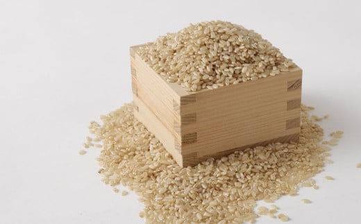 【6回定期便】津留いちご園のお米 玄米 農薬・化学肥料不使用(栽培期間中) 約5kg×6回 合計約30kg