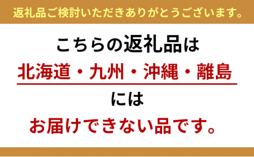 信州高原塩熟野菜（オレンジクイン）約10kg 4玉[№5915-1124]