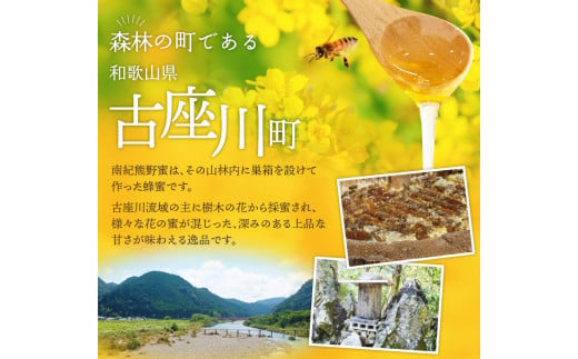 希少ハチミツ 南紀熊野蜜 1kg（500g×2個） / 古座川流域で採取した日本みつばちのはちみつ 南紀熊野蜜D はちみつ 国産 日本ミツバチ
