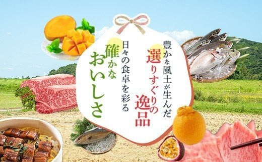 ふるさと納税 肝付町 鹿児島黒牛定期便 お得な堪能セット(全6回/毎月1