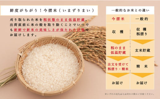 令和5年産新米 籾貯蔵今摺米きたくりん無洗米 11kg (5.5kg×2袋