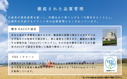 北海道当麻町のふるさと納税 令和5年産 籾貯蔵今摺米きたくりん無洗米 11kg  (5.5kg×2袋)