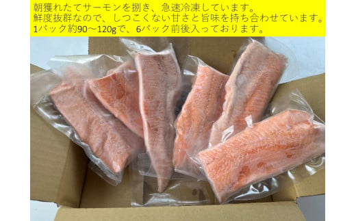 北海道池田町より大人気の国産ドナルドサーモン（生食用）が新登場！　