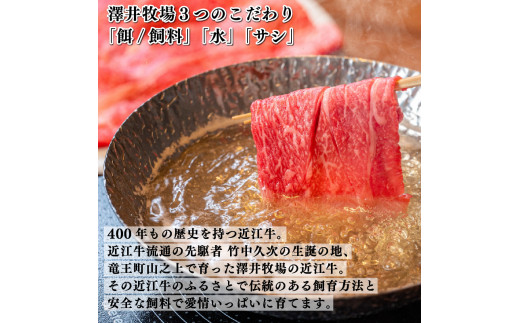 滋賀県竜王町のふるさと納税  近江牛 すき焼き しゃぶしゃぶ 霜降り 赤身 盛り合わせ 800g 冷凍 ( 和牛 近江牛 ブランド牛 和牛 近江牛 三大和牛 近江牛 牛肉 滋賀県 竜王 和牛 近江牛 冷凍 贈り物 和牛 近江牛 ギフト 和牛 近江牛 プレゼント 和牛 近江牛 黒毛和牛 澤井牧場 近江牛 )