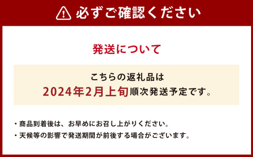 【2024年2月上旬発送開始】【規格外品】はるか ご家庭用 12kgサイズ不選別 サラダみかん 柑橘 ミカン 果物