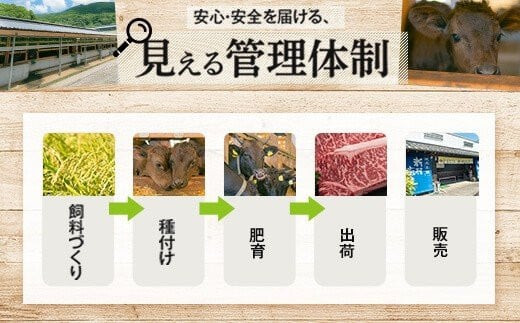 ふるさと納税 肝付町 鹿児島黒牛定期便 お得な堪能セット(全6回/毎月1