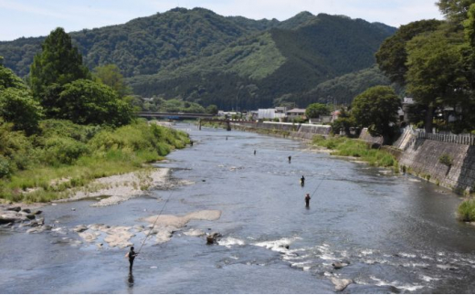 清流 久慈川 天然鮎 6～7匹 奥久慈 大子 [№5799-0616] - 茨城県大子町