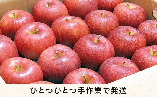 りんご シナノスイート 秀 〜 特秀 5kg 丸西農園 沖縄県への配送不可 2023年10月中旬頃から2023年11月中旬頃まで順次発送予定  令和5年度収穫分 特別栽培農産物 ( 除草剤 化学肥料 不使用 ) 信州 果物 フルーツ リンゴ 林檎 長野 17000円 予約 農家直送 長野県  飯綱町