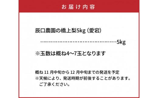 先行予約】令和5年発送 /辰口農園の橋上梨5kg(品種:愛宕)_1303R - 大分