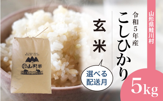 令和5年産 鮭川村 コシヒカリ10㎏【玄米】（10kg×1袋） - 山形県鮭川村