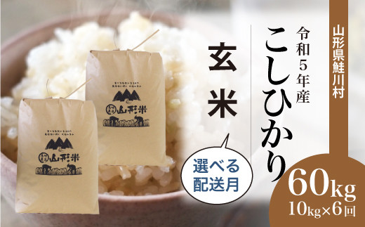 □先行予約□　令和5年産　鮭川村　コシヒカリ60㎏【玄米】定期便（10kg×6回発送）