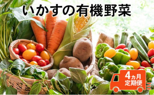 いかすの有機野菜（月1回10品お届け4回分） 937580 - 神奈川県平塚市