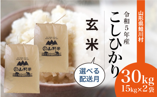 令和5年産 鮭川村 コシヒカリ30㎏【玄米】（15kg×2袋） - 山形県鮭川村