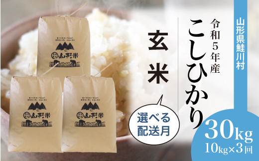 令和5年産 雪若丸 【玄米】 定期便 30kg（10kg×1カ月ごと3回お届け