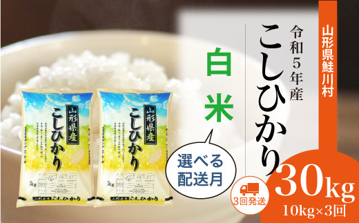 令和5年産 鮭川村 コシヒカリ30㎏【白米】定期便（5kg×6回発送