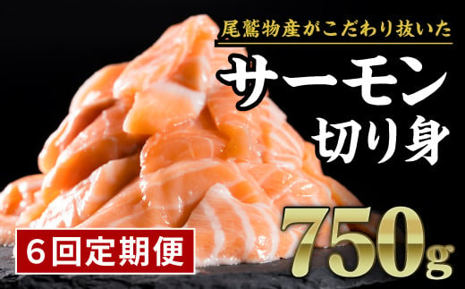 生食用サーモン切り落し 大満足750gセット OB-27 - 鮭・サーモン