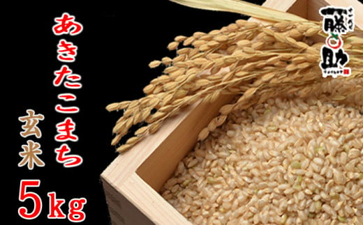 八幡平市産 あきたこまち 玄米10kg（5kg×2袋）×3ヶ月定期便 ／ 玄米