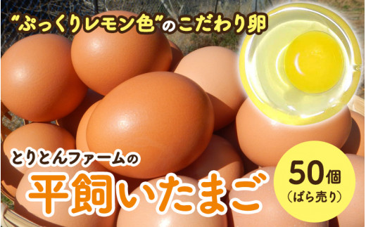 とりとんファームの平飼いたまご50個(ばら売り)[常温配送] / 田辺市 卵 たまご 鶏卵 平飼い 卵かけごはん