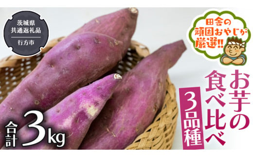 お芋 の 食べ比べ 3品種（3kg）【令和5年10月から発送開始】 （県内共通返礼品：行方市産） さつまいも 芋 いも 野菜 べにはるか 紅あずま シルクスイート 紫芋