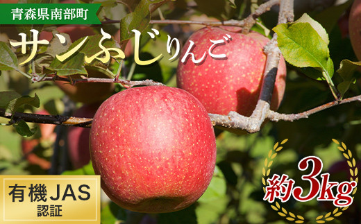 有機JAS認証 サンふじ りんご 約3kg 【和楽堂りんご養生農苑】 青森りんご リンゴ 林檎 アップル あおもり 青森 青森県 南部町 三戸 南部 果物 くだもの フルーツ オーガニック F21U-325 1001718 - 青森県南部町