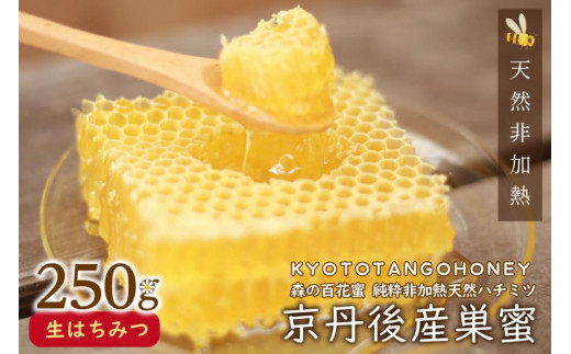 【国産 ハチミツ】京丹後産巣蜜（250ｇ）KYOTOTANGOHONEY森