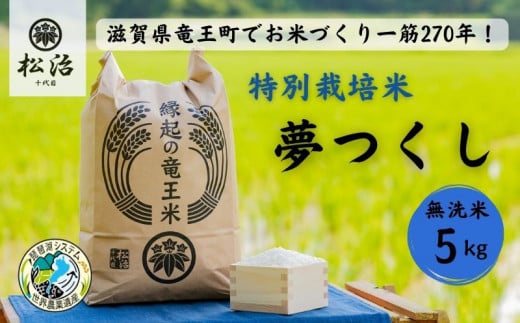 【令和5年産新米先行予約】 270年続くお米農家が作った特別栽培米 夢つくし 無洗米5kg 「縁起の竜王米」