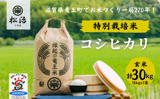 【令和5年産】 270年続くお米農家が作った コシヒカリ 玄米30kg(10kgx3袋) 「縁起の竜王米」|270年お米作り一筋「十代目松治」