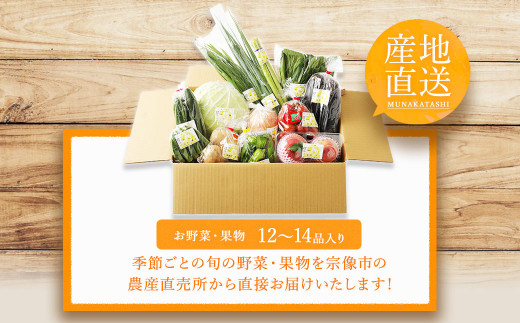 【12～14品】むなかた 旬 の お任せ セット(野菜・フルーツ)_KA0262