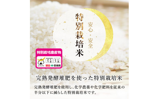【令和5年産 新米】特別栽培米 ササニシキ 7kg ta238【若木の里】