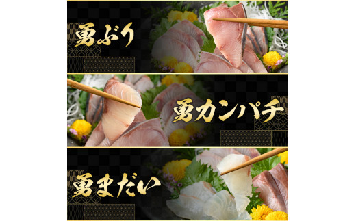 お刺身豪華3点セット(約900g)【勇進水産】yushin-969