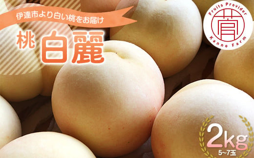福島県産 白麗 はくれい 2kg 2024年8月中旬〜2024年8月下旬発送 先行予約 予約 白い桃 限定 伊達の桃 桃 もも モモ 果物 くだもの フルーツ 国産 食品 F20C-730