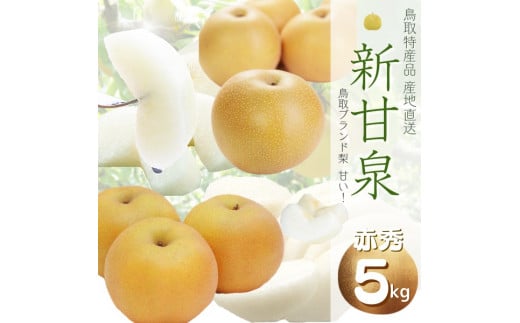 1373 鳥取県産 新甘泉梨(贈答用) 赤秀 5kg詰(いまる)