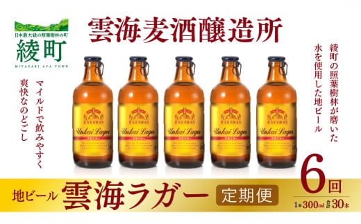 雲海麦酒醸造所 地ビール 「雲海ラガー」 5本セット 【6回 定期便】（02-135）