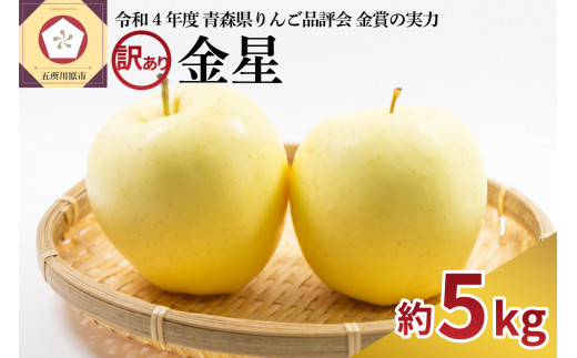【選べる配送時期】【訳あり】りんご 青森産 約5kg 金星