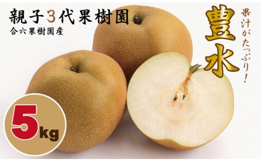 【先行予約受付中】豊水 梨(5kg)親子三世代 農家 合六果樹園 959294 - 佐賀県小城市
