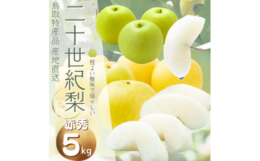1367 鳥取県産 二十世紀梨(贈答用) 赤秀 5kg詰(いまる)